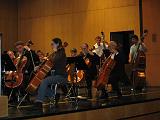 cellos